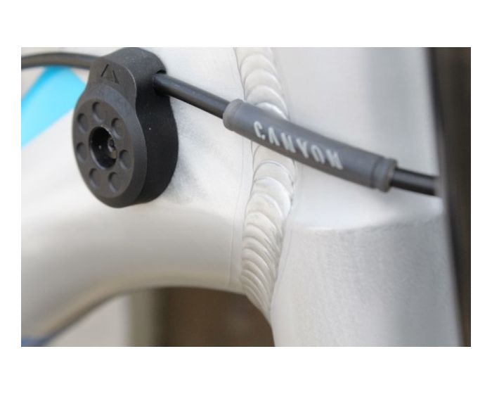 Canyon DHX 2016 | Frame Protection Kit