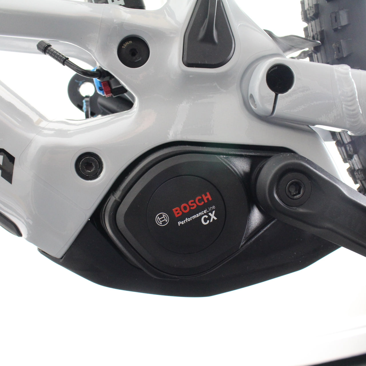 Orbea Wild Aluminium 2025 | Frame Protection Kit