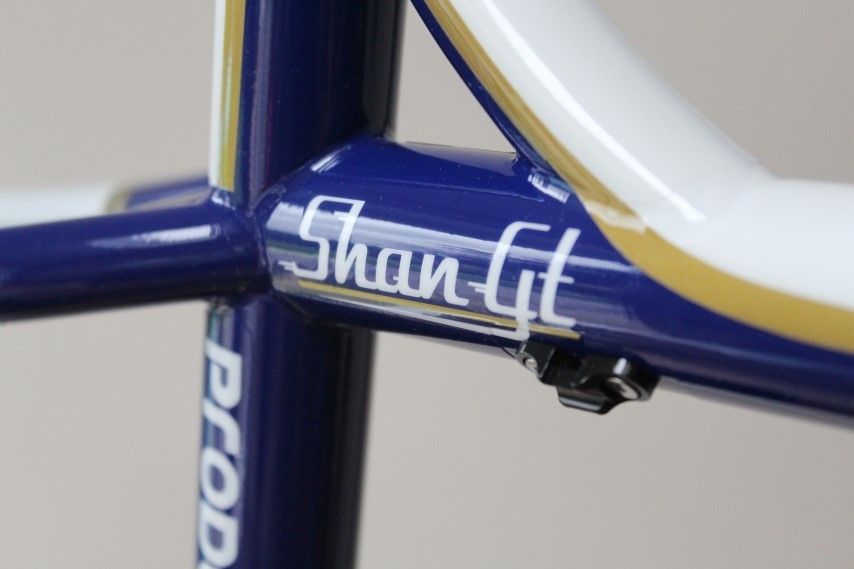 Production Privee Shan GT 2018 | Frame Protection Kit