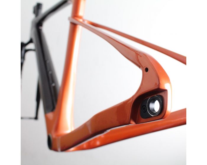 Giant Revolt X Carbon 2023 | Frame Protection Kit