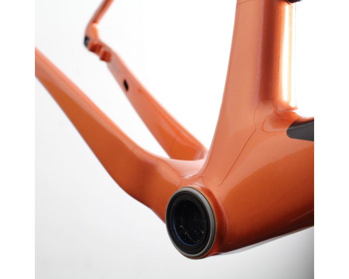 Giant Revolt X Carbon 2023 | Frame Protection Kit