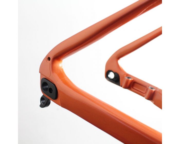 Giant Revolt X Carbon 2023 | Frame Protection Kit