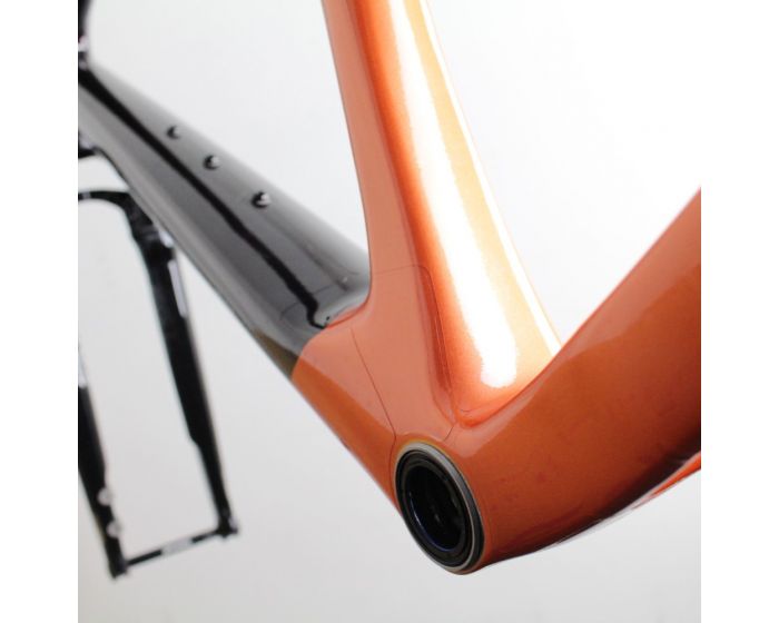 Giant Revolt X Carbon 2023 | Frame Protection Kit