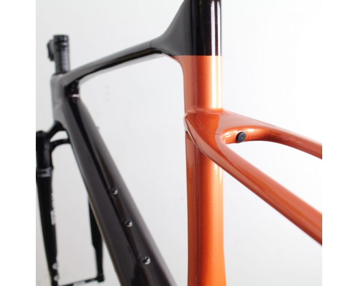 Giant Revolt X Carbon 2023 | Frame Protection Kit