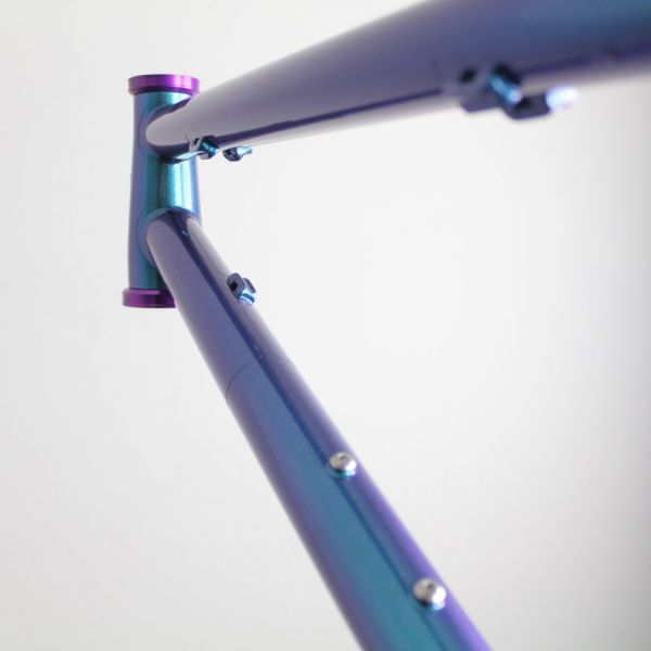 Bird Forge 2022 | Frame Protection Kit