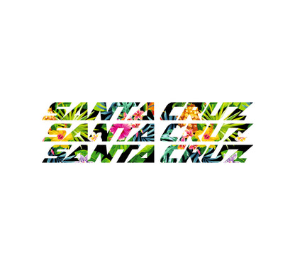 Santa Cruz Bullit 2021 Decals - Downtube ONLY