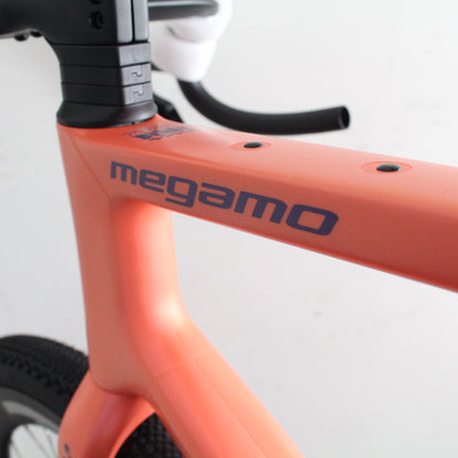 Megamo West Carbon 2026/27 | Frame Protection Kit