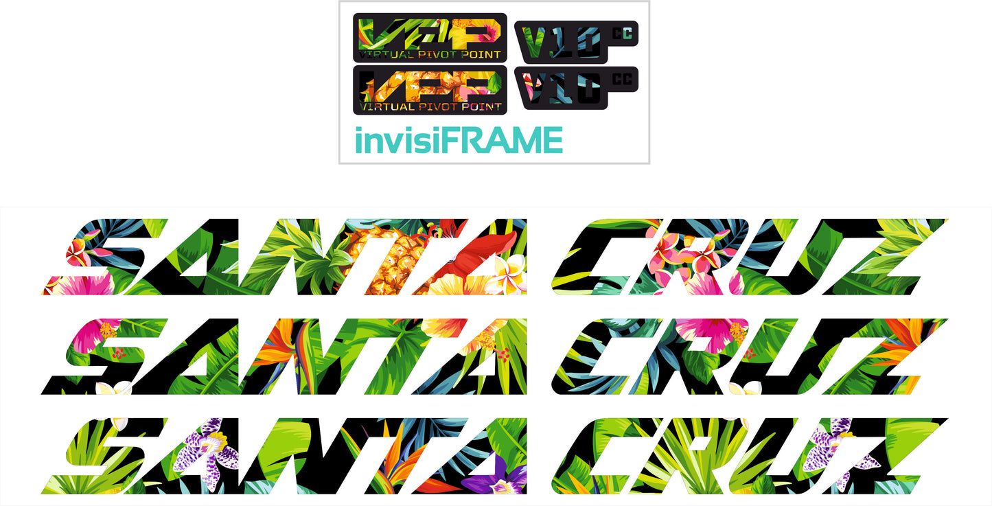 Santa Cruz V10 CC 2021 Decals