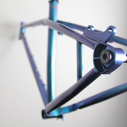 Bird Forge 2022 | Frame Protection Kit