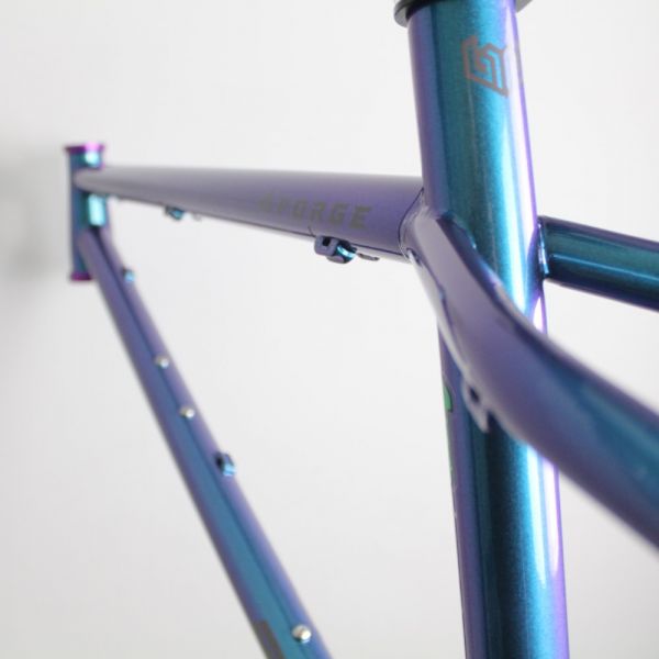 Bird Forge 2022 | Frame Protection Kit
