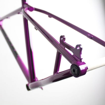 Cotic Solaris Max Longshot Geo 2022 | Frame Protection Kit