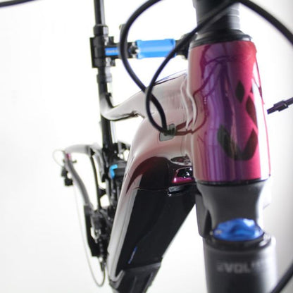 Liv Intrigue X E Pro 2021 | Frame Protection Kit