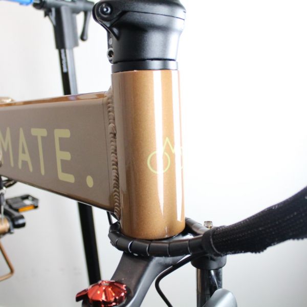 Mate E-Bike 2022 | Frame Protection Kit