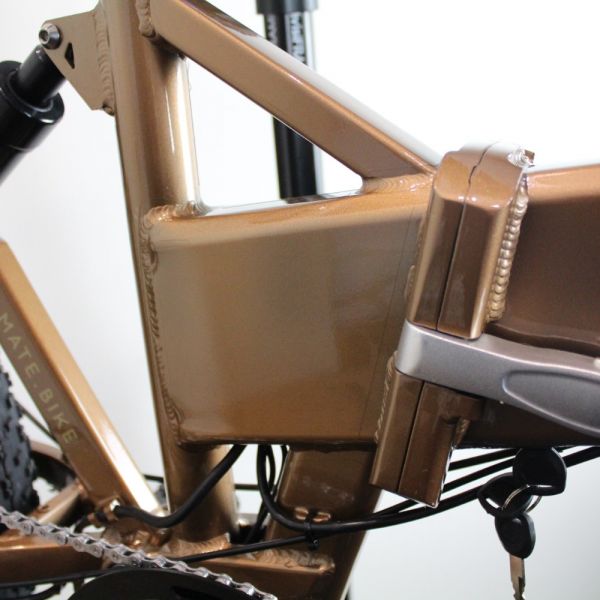 Mate E-Bike 2022 | Frame Protection Kit