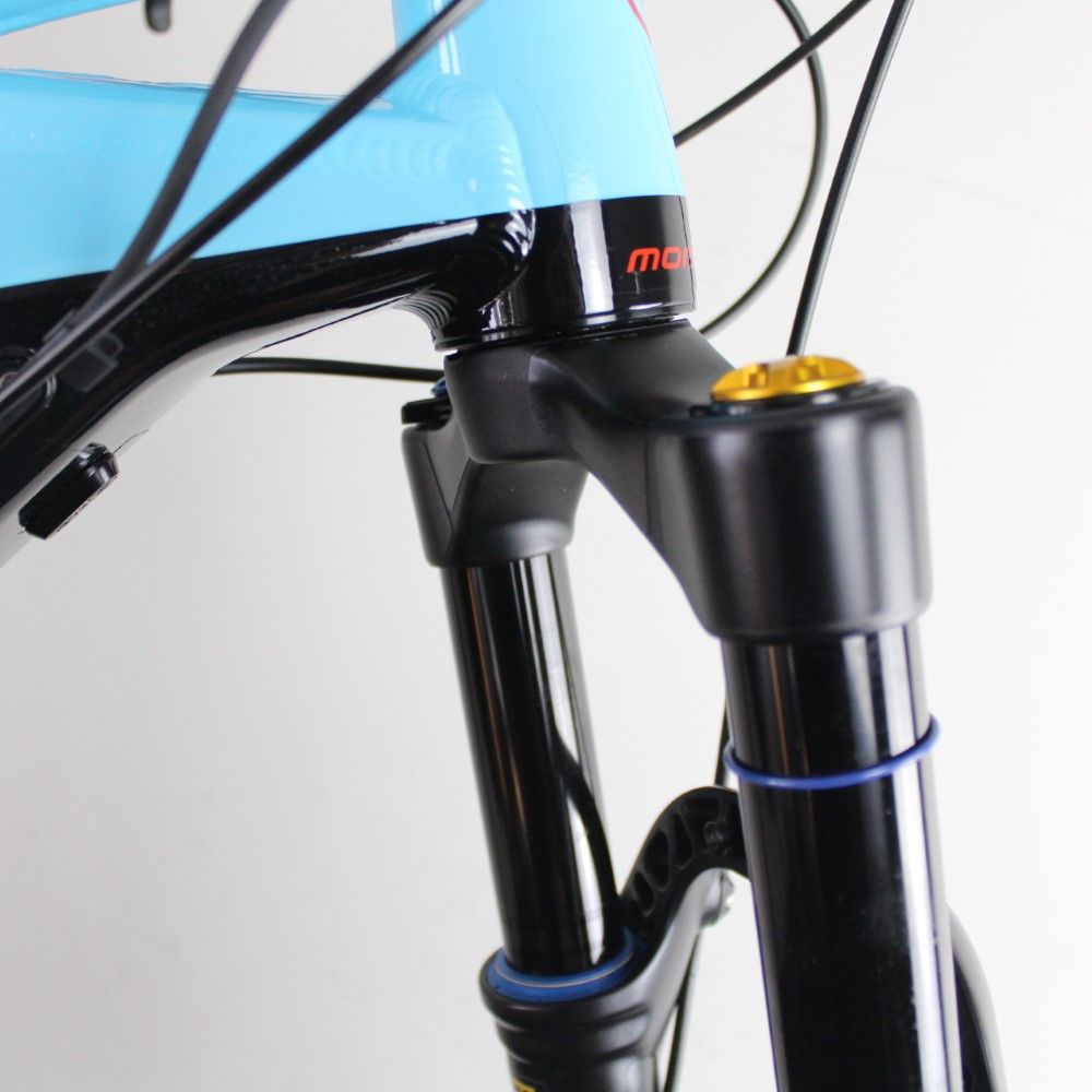 Ohlins TTX 38 M.1 29/27.5+ 2020 | Fork Protection Kit