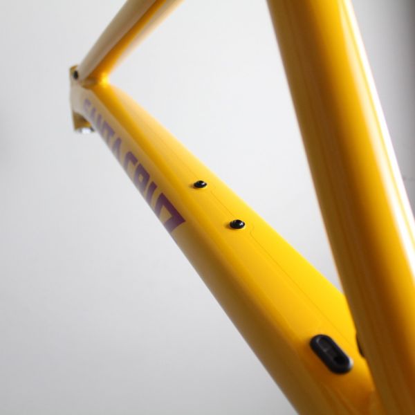Santa Cruz Invisiframe Santa Cruz Chameleon V8 Aluminium 2021-25 | invisiFRAME Frame ...