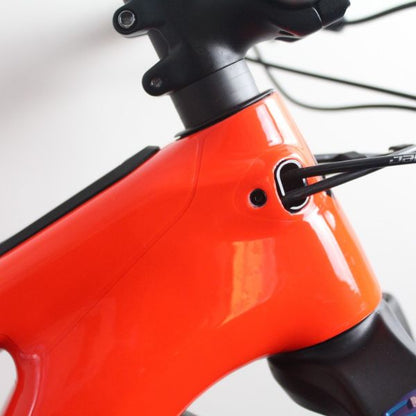 Specialized Levo Expert & Comp Carbon 2019-21 | Frame Protection Kit