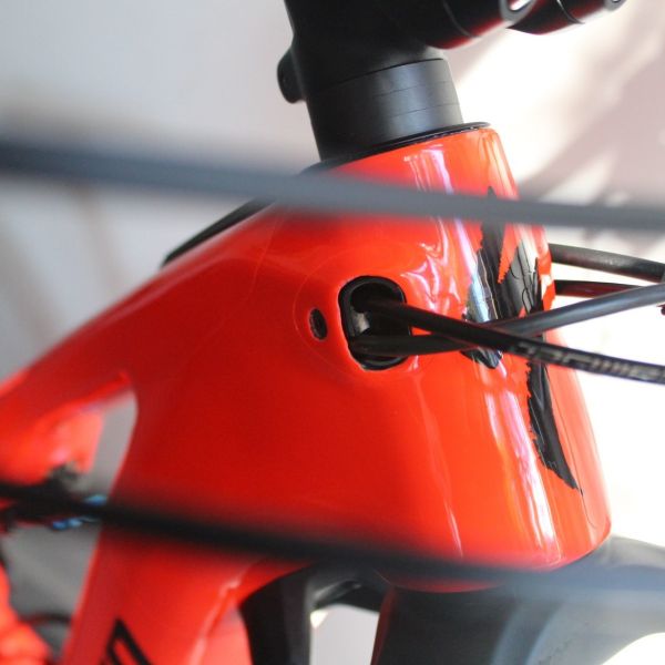 Specialized Levo Expert & Comp Carbon 2019-21 | Frame Protection Kit